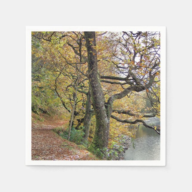 SERVIETTE JETABLE AUTOMNE PAR LE LAC (Devant)