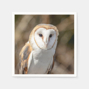 Serviette Jetable Barn Owl