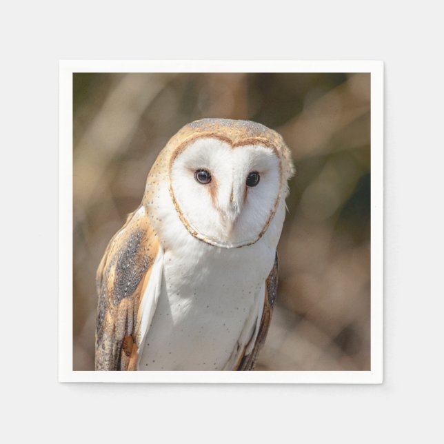 Serviette Jetable Barn Owl (Devant)