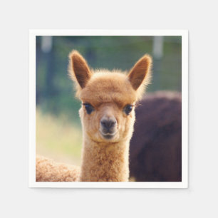 Serviette Jetable Bébé Alpaca Standard Cocktail Napkin