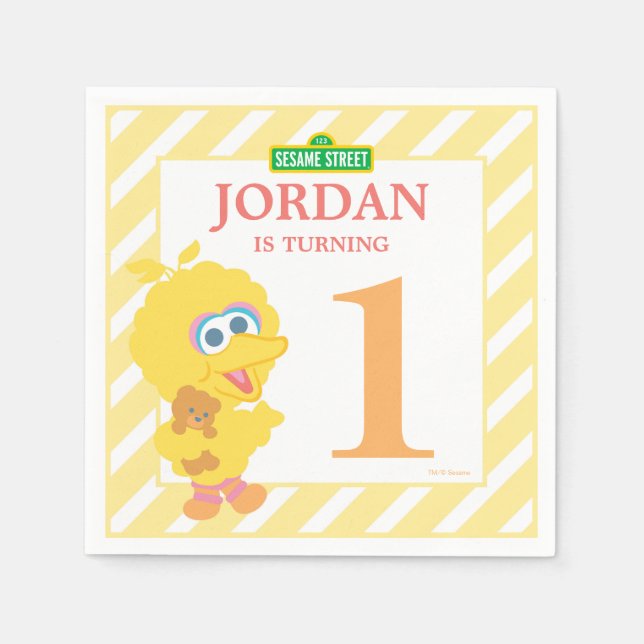 Serviette Jetable Bébé Big Bird Papier Anniversaire (Devant)
