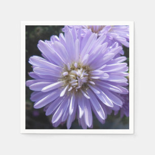 Serviette Jetable Berlinette