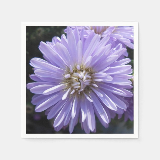 Serviette Jetable Berlinette (Devant)