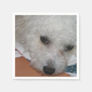 Serviette Jetable Bichon Frisé.png