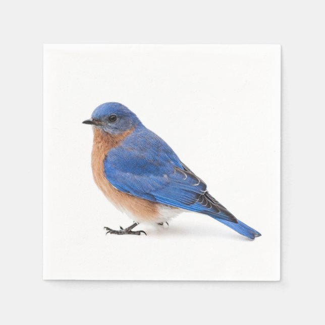 Serviette Jetable Bluebird (Devant)