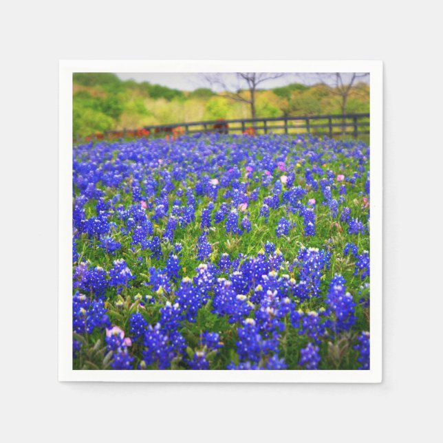 Serviette Jetable Bluebonnets au Texas (Devant)