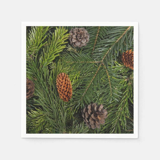Serviette Jetable Branches de l'arbre de Noël (Devant)
