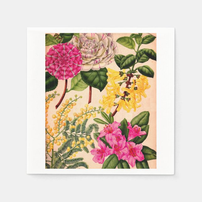Serviette Jetable camélia, forsythie, rhododendron et acacia (Devant)
