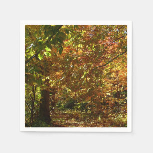 Serviette Jetable Canopée des Feuilles d'automne II Photographie d'a