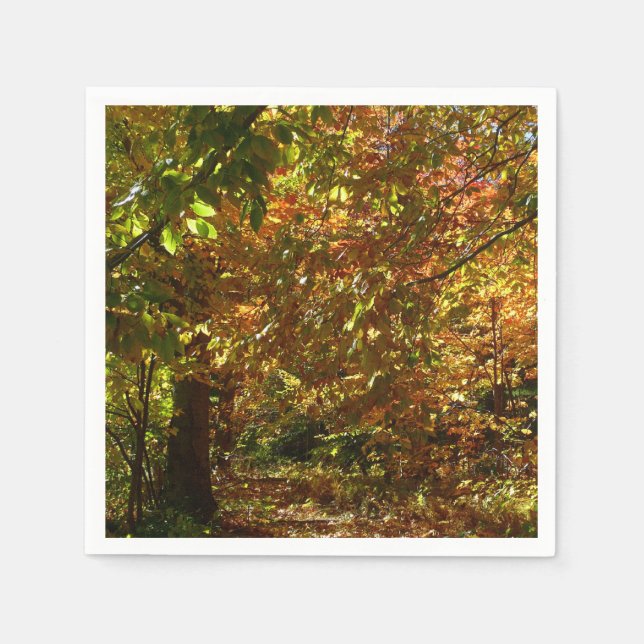 Serviette Jetable Canopée des Feuilles d'automne II Photographie d'a (Devant)