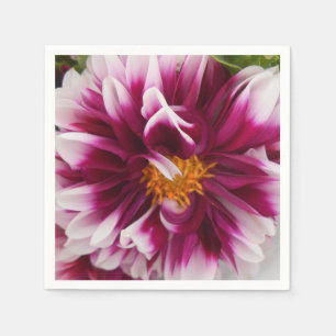 Serviette Jetable Cartheuserine