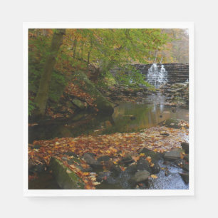 Serviette Jetable Cascade automnale et Creek Pennsylvania Nature