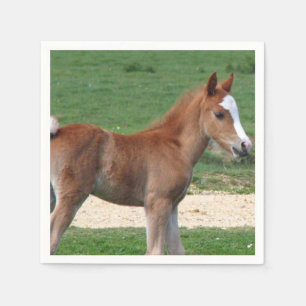 Serviette Jetable Cheval