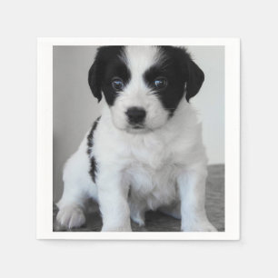 Serviette Jetable Chiot noir et blanc adorable