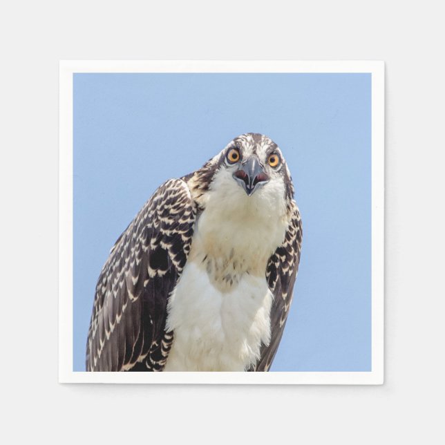 Serviette Jetable Closeup d'un balbuzard juvénile (Devant)