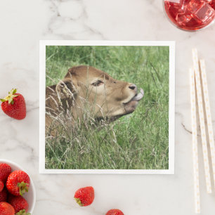 Serviette Jetable COW Cute