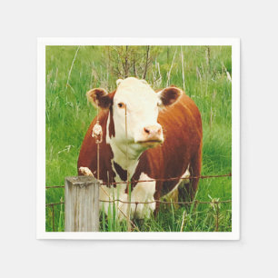 Serviette Jetable Curious Cow 4Ricky