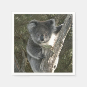 Serviette Jetable Cute Koala Escalade un arbre