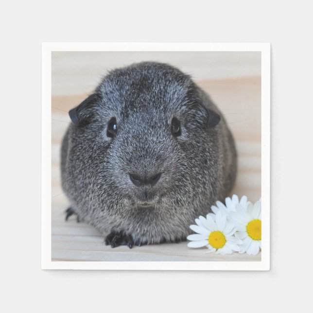Serviette Jetable Cute Smooth, Argent Agouti Guinée Pig et marguerit (Devant)
