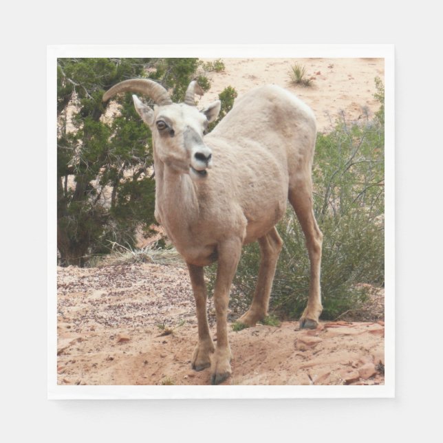 Serviette Jetable Drôle Mouton de Bighorn dans le parc national Zion (Devant)