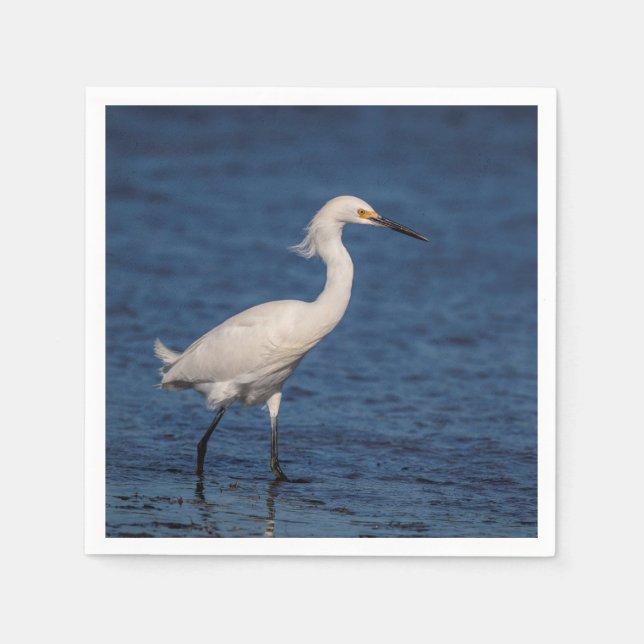 Serviette Jetable Egret neigeux sur North Beach (Devant)