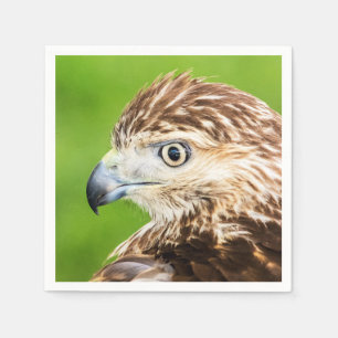 Serviette Jetable Faucon coupé la queue par rouge juvénile