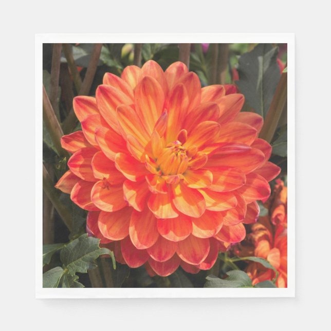Serviette Jetable Fiery Dahlia (Devant)