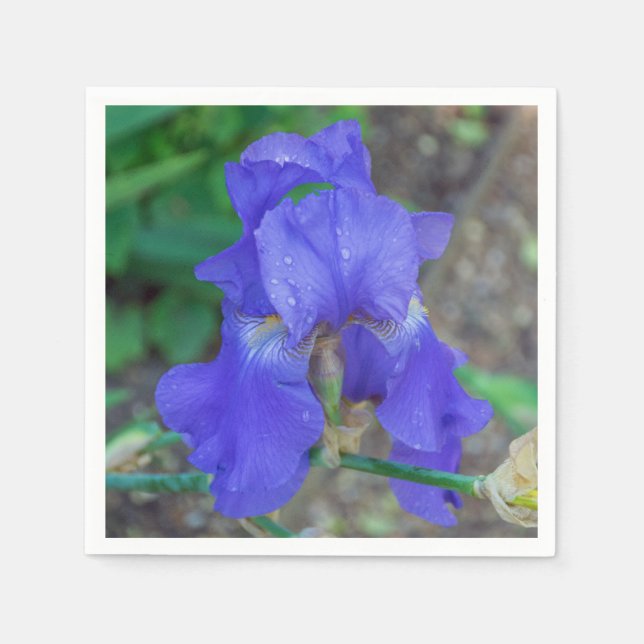 Serviette Jetable Fleur d'iris bleu (Devant)