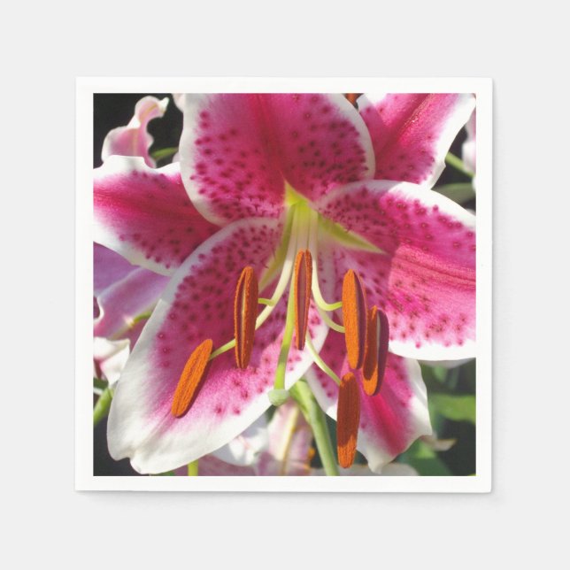 Serviette Jetable Fleur rose rose rose rose fleur rose fleur tropica (Devant)