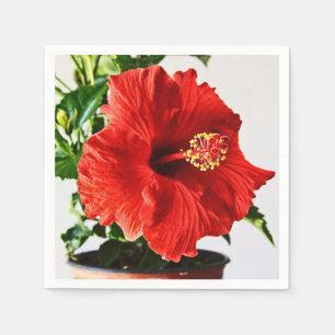 Serviette Jetable Fleur rouge de ketmie