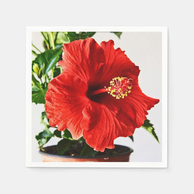 Serviette Jetable Fleur rouge de ketmie (Devant)