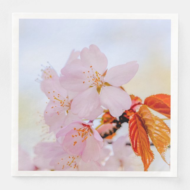 Serviette Jetable Fleurs de sakura roses - Fleur de cerisier japonai (Devant)