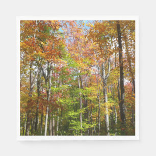 Serviette Jetable Forêt d'automne II Photographie de paysage automna