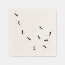 fourmis en marche