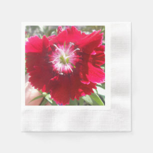 Serviette Jetable Geertje