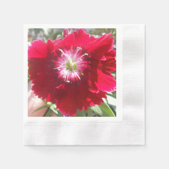 Serviette Jetable Geertje (Devant)