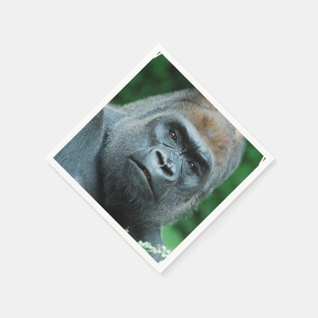 Serviette Jetable Gorille perplexe (Coin)