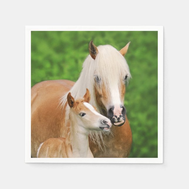 Serviette Jetable Haflinger Horse mignon Bébé Foal Baiser Mum Pony P (Devant)