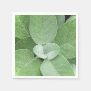 Serviette Jetable Herbal Napkin