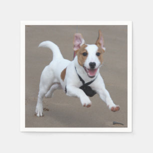 Serviette Jetable Jack_Russell terrier exécution 2.png