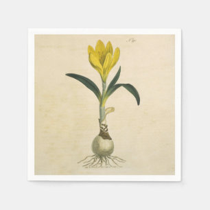 Serviette Jetable Jardin botanique de tulipe Amaryllis Fleur