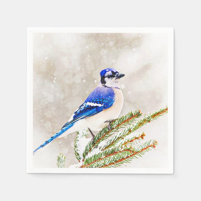 Serviette Jetable Jay bleu dans un pin avec neige (Devant)