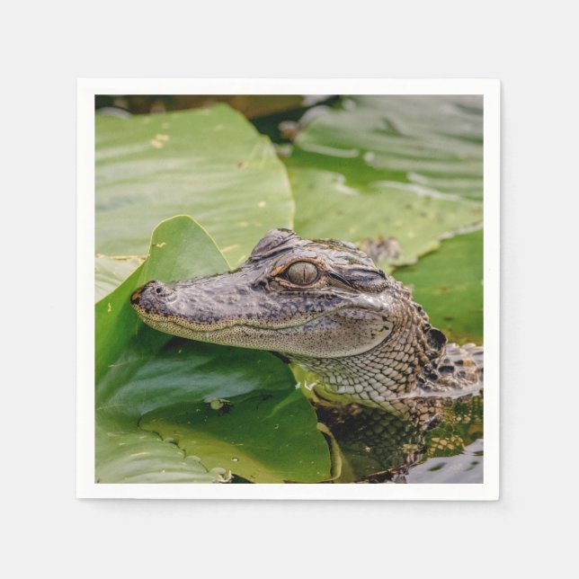 Serviette Jetable Jeune Alligator (Devant)