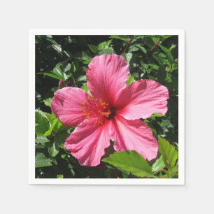 Serviette Jetable Ketmie rose foncée