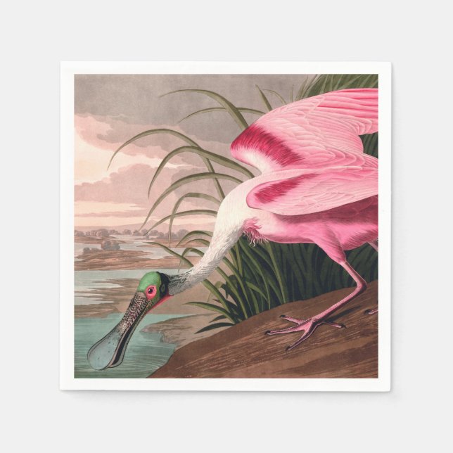 Serviette Jetable La faune des oiseaux d'Audubon de Spoonbill Roseat (Devant)