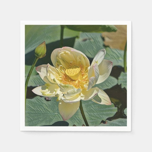 Serviette Jetable Lotus Blossom (Devant)