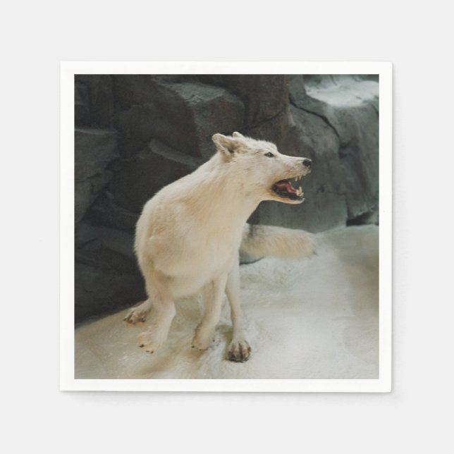 Serviette Jetable Loup blanc (Devant)