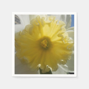 Serviette Jetable Maenad