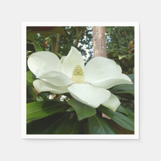 Serviette Jetable Magnolia Grandiflora Papier Naples (Devant)