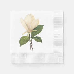 Serviette Jetable Magnolia soulangeana (Magnolia soulangiana) par Re